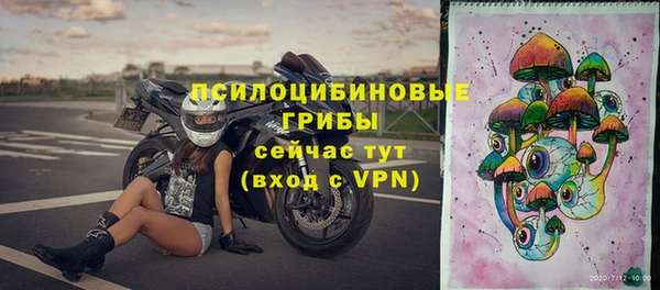 бошки Россошь
