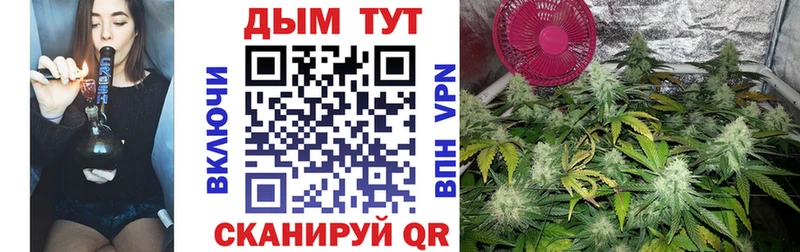 купить наркотики цена  Свободный  Шишки марихуана Amnesia 